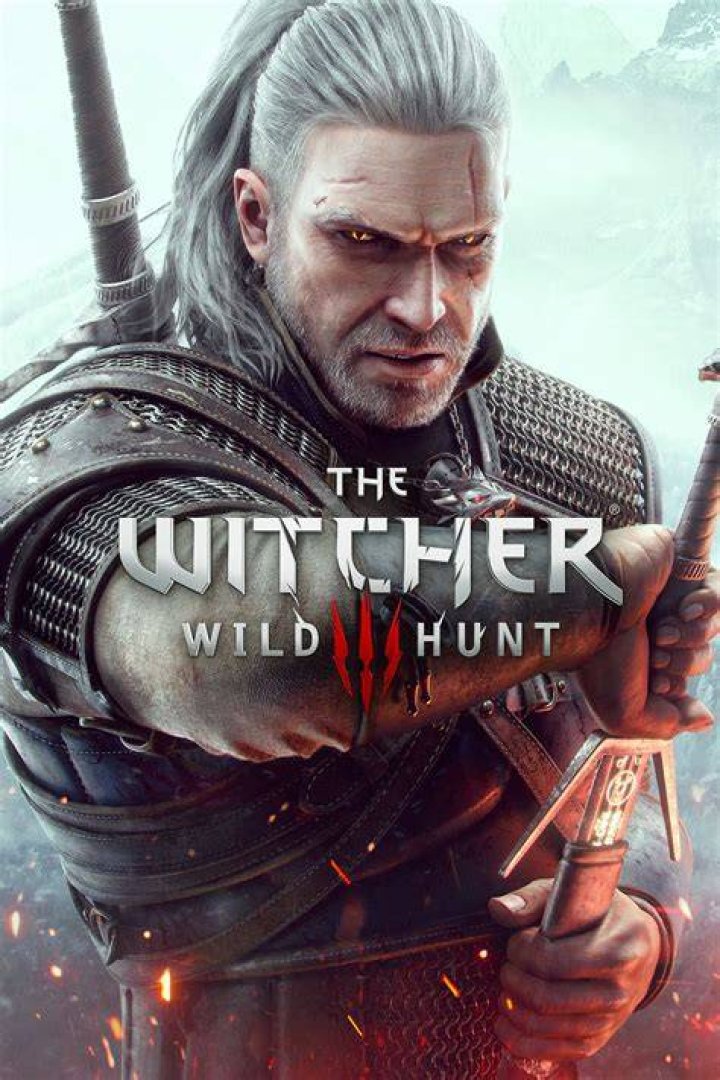 the witcher wild hunt